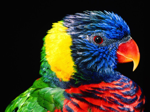 348906 (a): :1600x1200